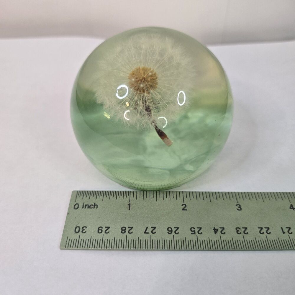 Real Dandelion Paperweight Home Decor Crystal Resin Ball 3 Inch Wide